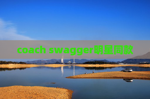 coach swagger明星同款 coach swagger明星同款